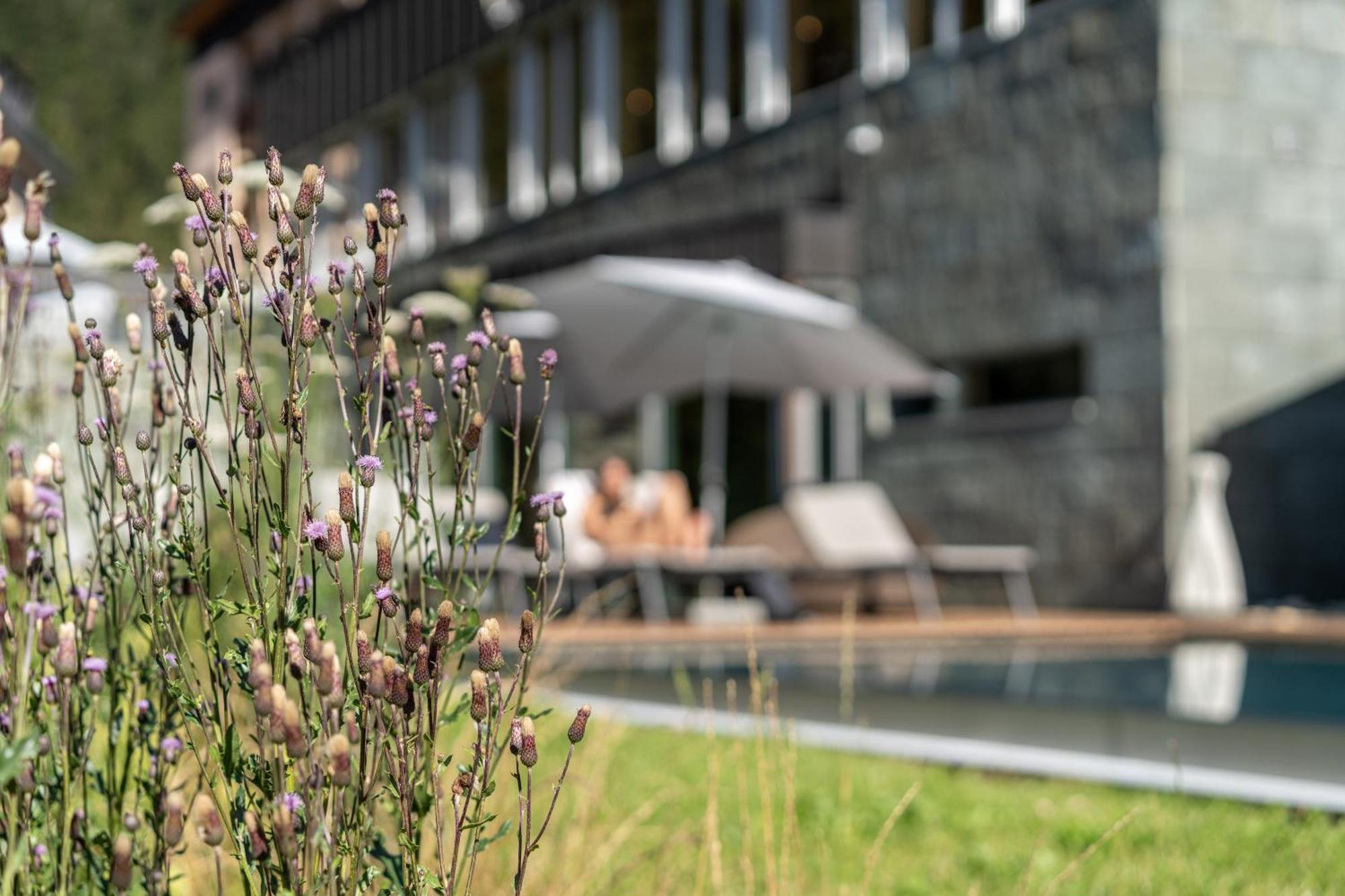 Waldhotel Ароза Экстерьер фото